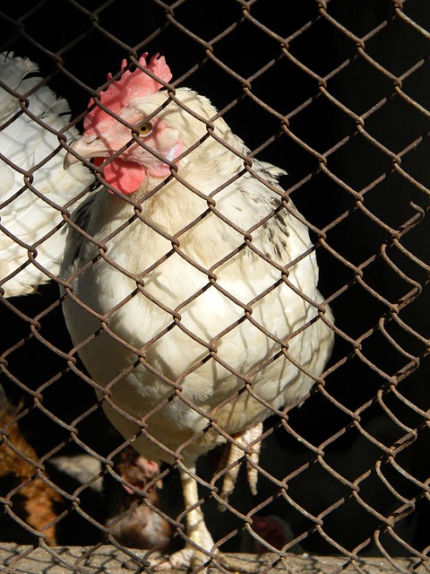 开云体育-德尔皮耶罗亚洲独家品牌形象大使